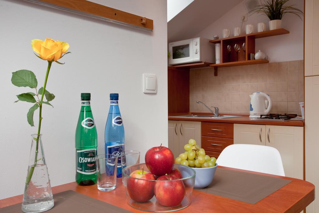 Apartament City Center Studio Deluxe Криниця-Здруй Екстер'єр фото